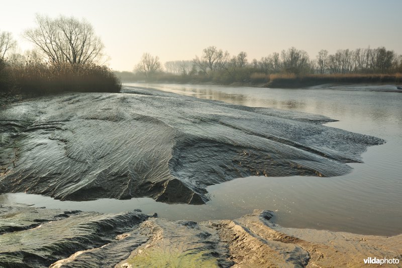 De schorren van de Durme bij laagtij