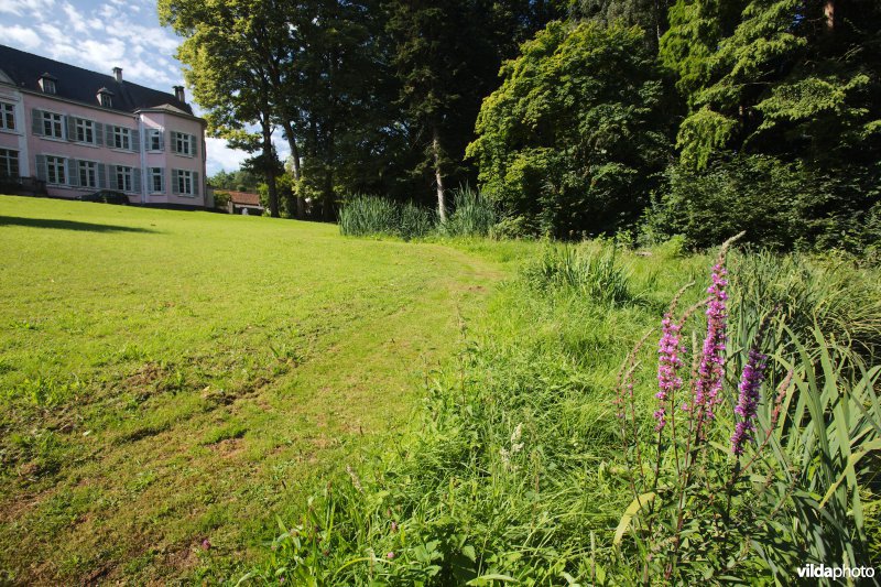 Gefaseerd gemaaid gazon