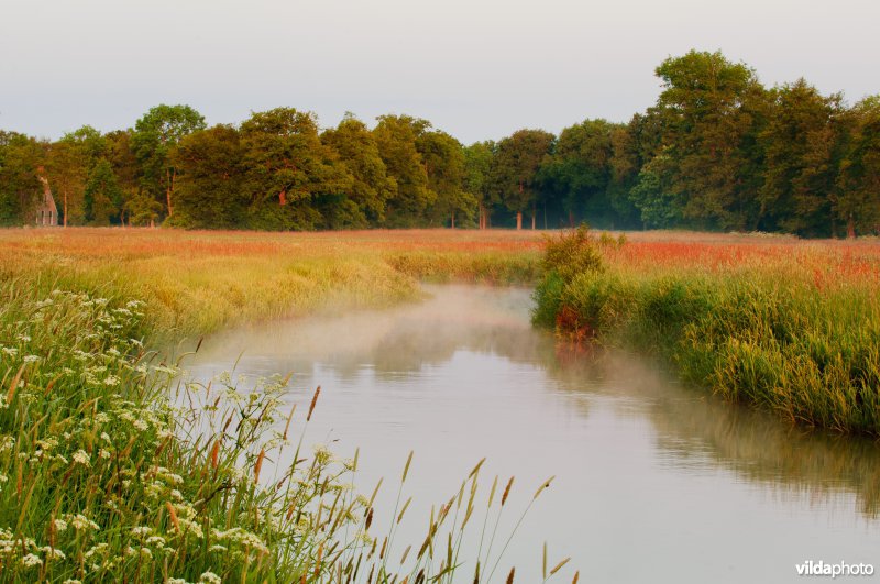 Beekdallandschap Drentse Aa