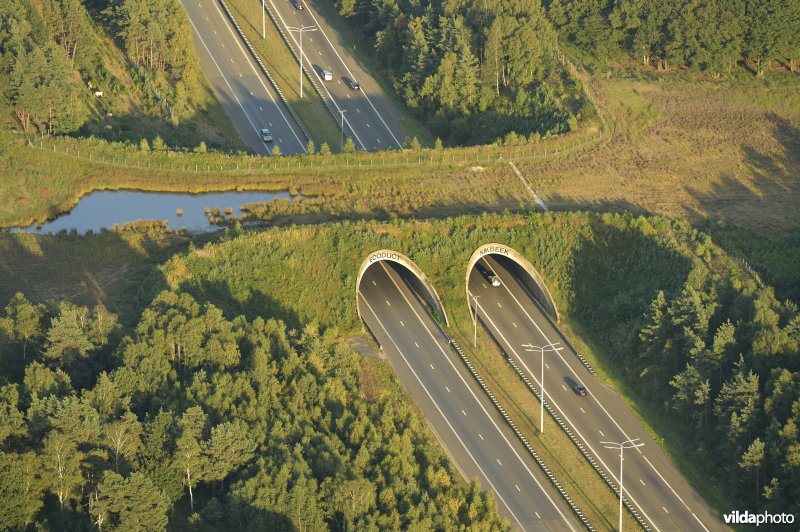 Ecoduct Kikbeek