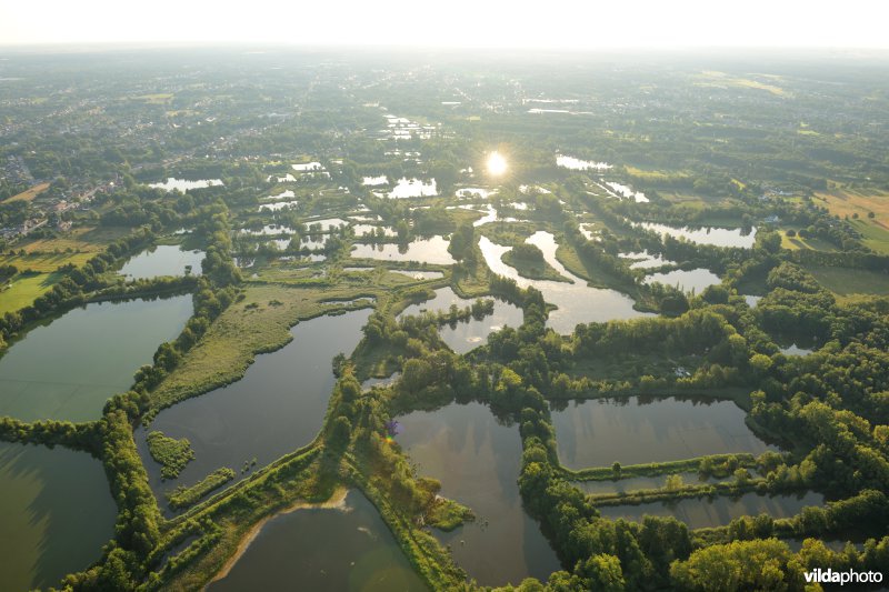 Vijvergebied De Wijers