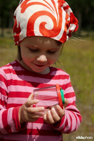 Meisje bestudeert een libel