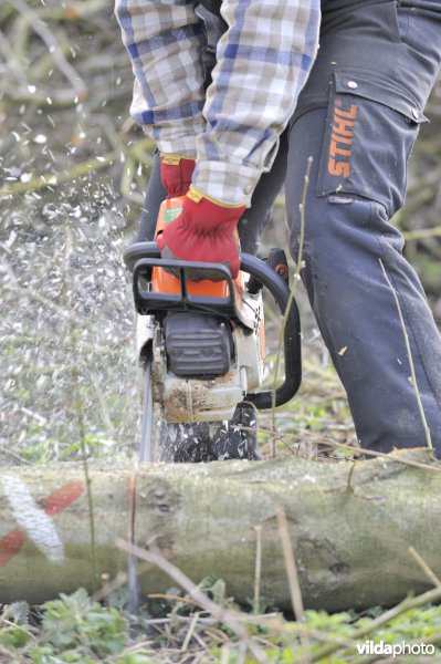 Werken met de kettingzaag