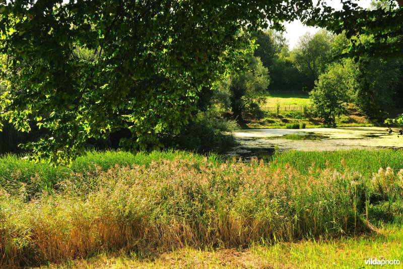 Rood-Klooster