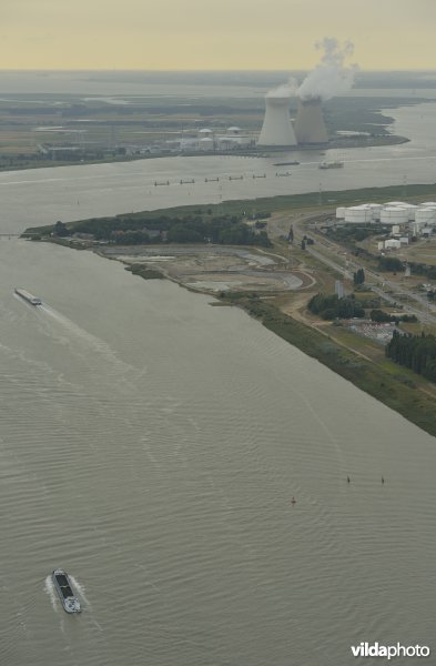 Zeeschelde in de haven van Antwerpen