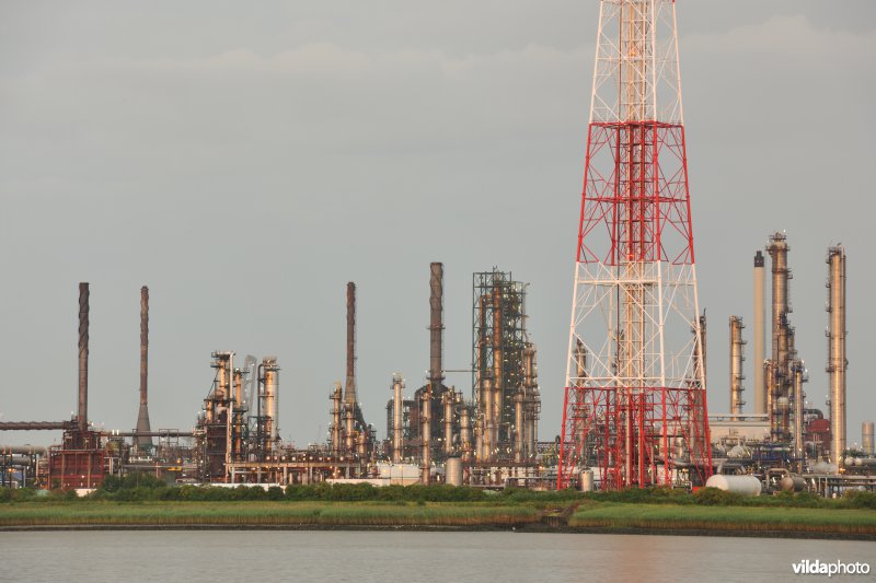 Industrie op de rechteroever van de Schelde