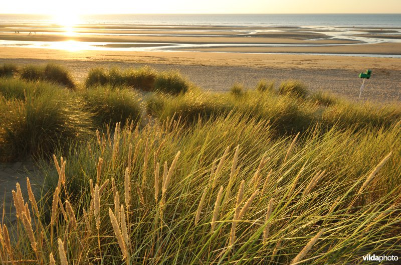 Strand van Sint-Idesbald