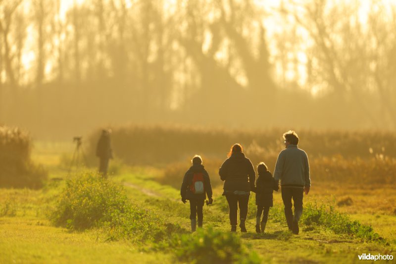 Vogelkijkers in de Rillebroeken