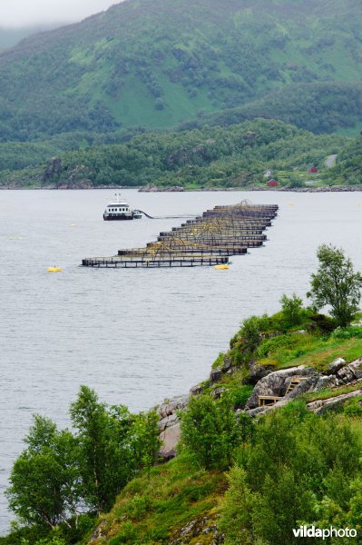 Zalmkwekerij in fjord