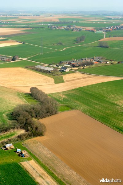 Grootschalige landbouw op het leemplateau