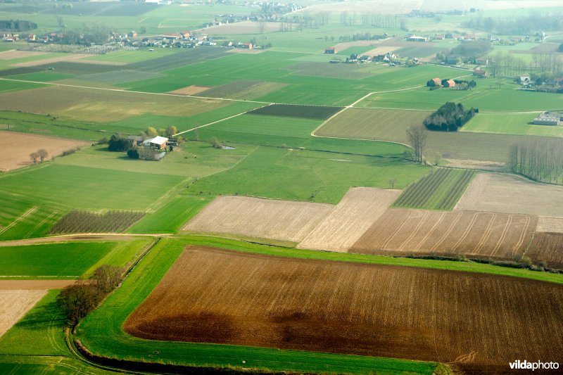 Intensief landbouwgebied