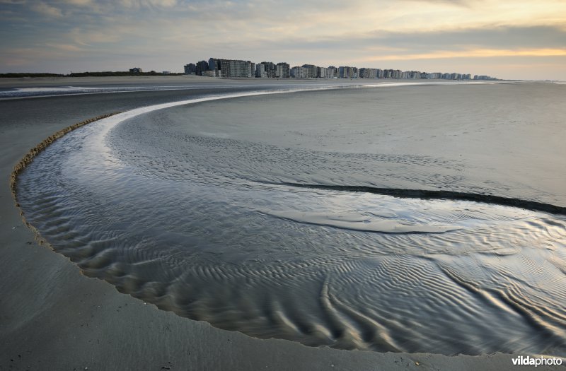 Strand van Sint-Idesbald