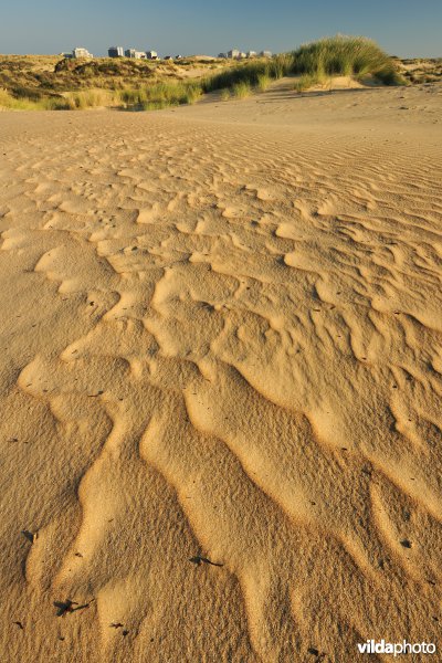 Natuurreservaat De Westhoek