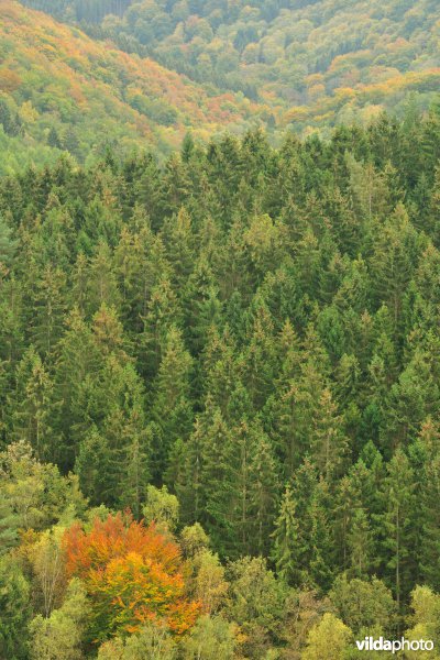 Vallei van de Ourthe