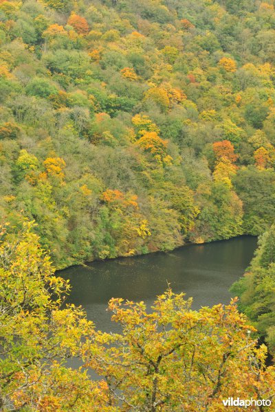 Vallei van de Ourthe