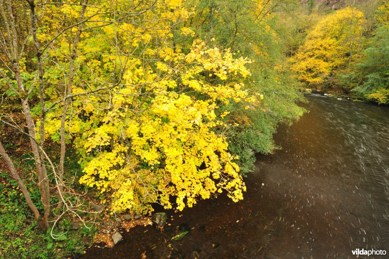 Vallei van de Ourthe