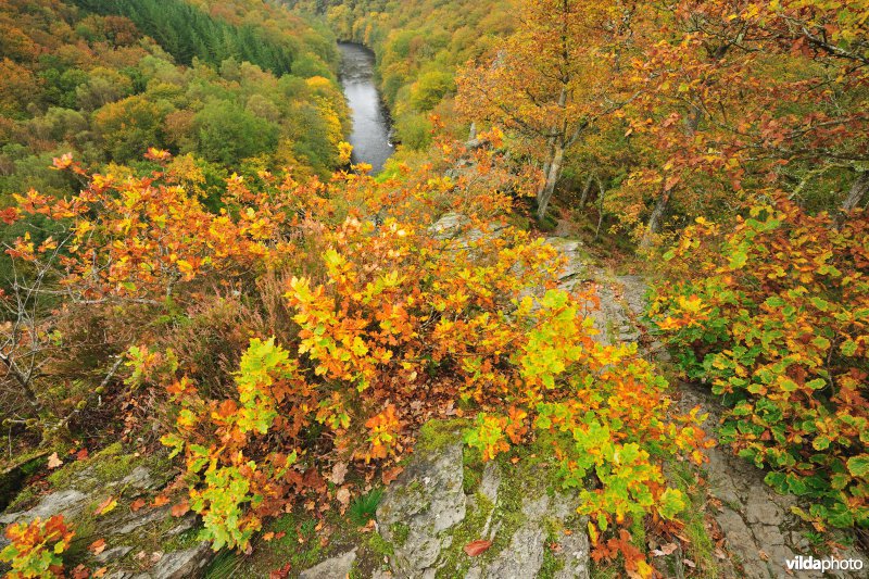 Vallei van de Ourthe