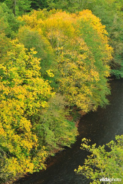 Vallei van de Ourthe