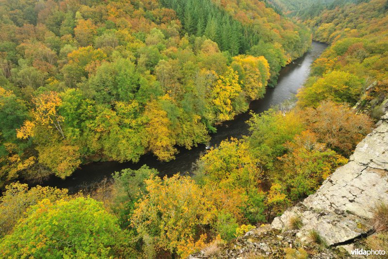 Vallei van de Ourthe