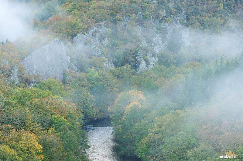 Vallei van de Ourthe