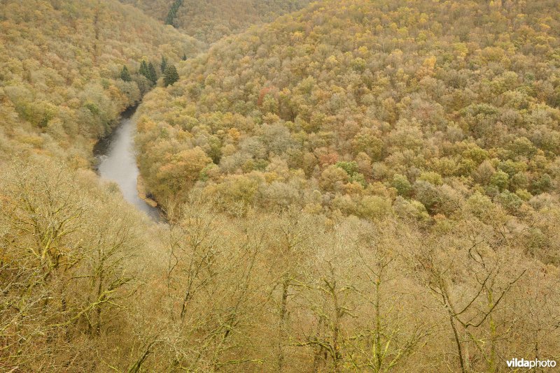 Vallei van de Ourthe