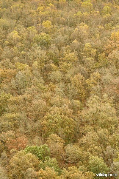 Vallei van de Ourthe