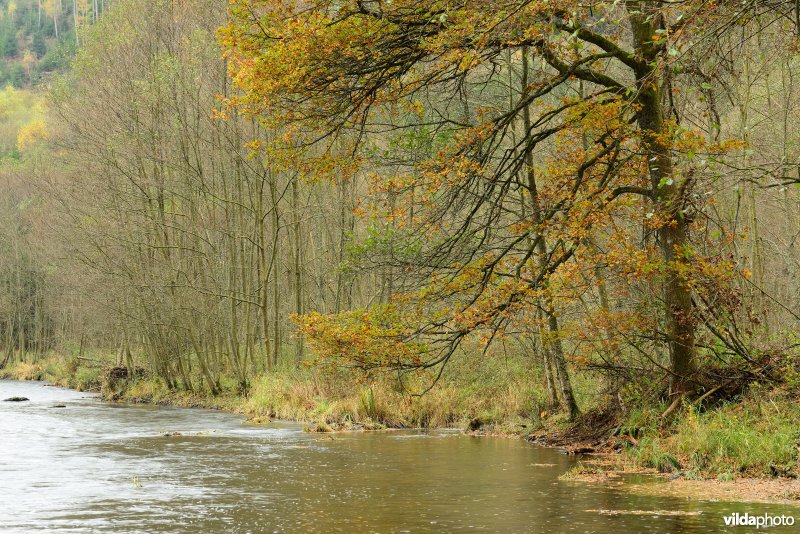 Vallei van de Ourthe