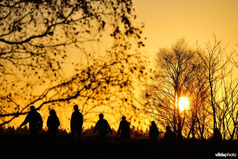 Wandelen in de Hoge Venen