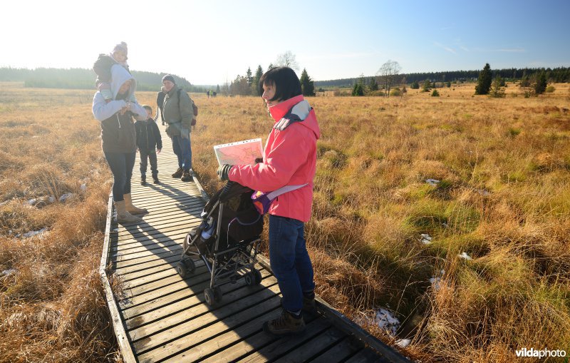 Wandelen in de Hoge Venen