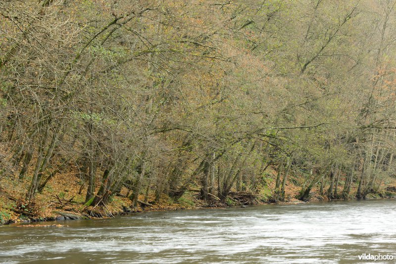 Vallei van de Ourthe