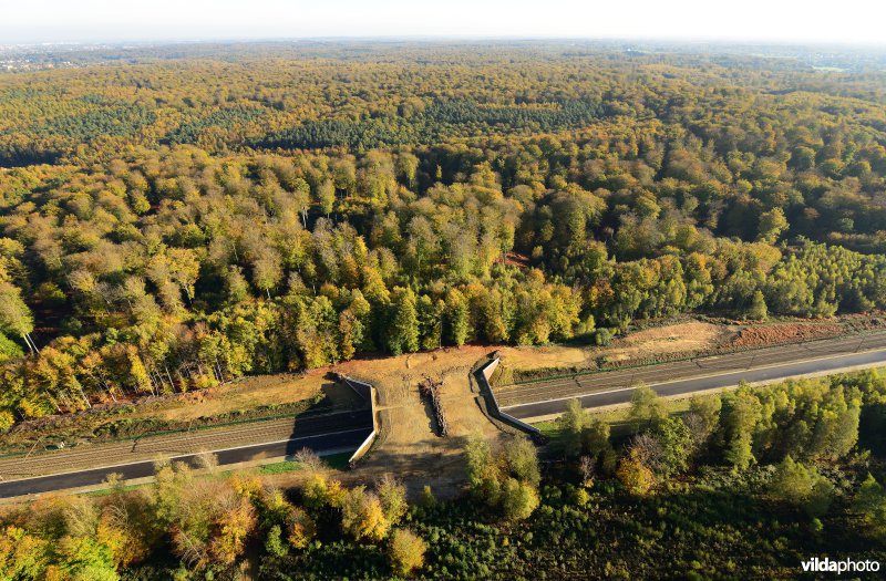 Ecoduct in het Zoniënbos over spoorweg