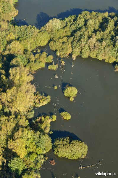 Provinciaal domein Broek De Naeyer