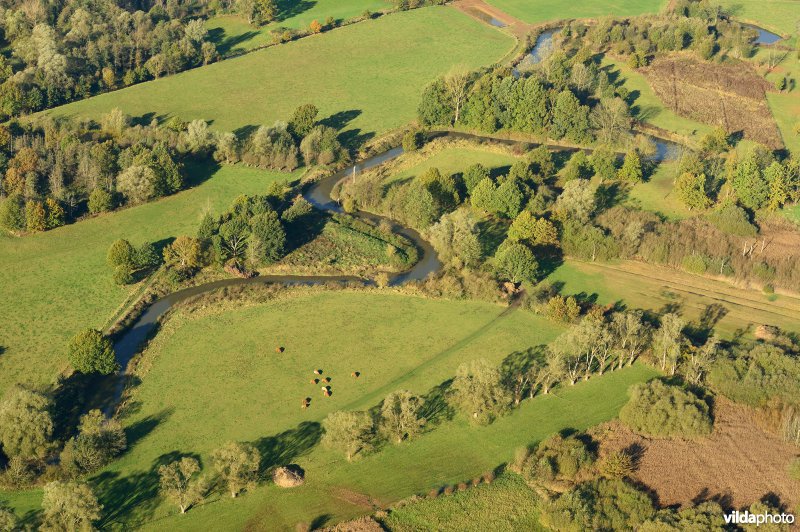 Natuurreservaat de Doode Bemde