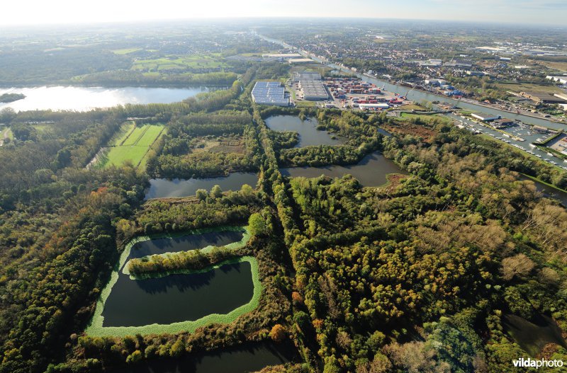 Provinciaal domein Broek De Naeyer