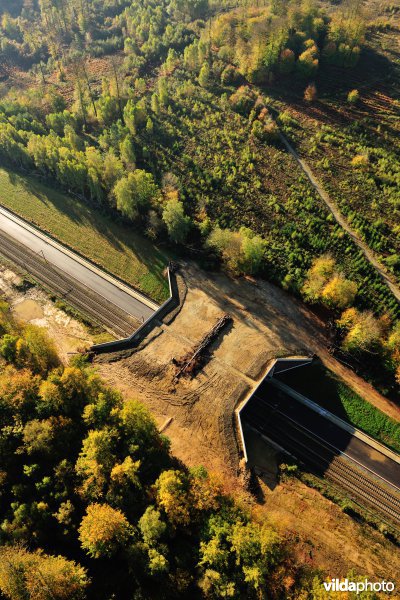 Ecoduct in het Zoniënbos over spoorweg