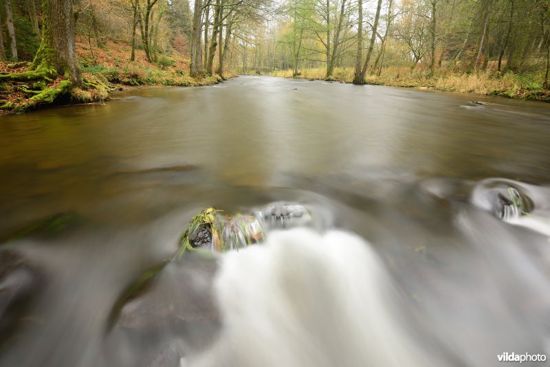 Vallei van de Ourthe