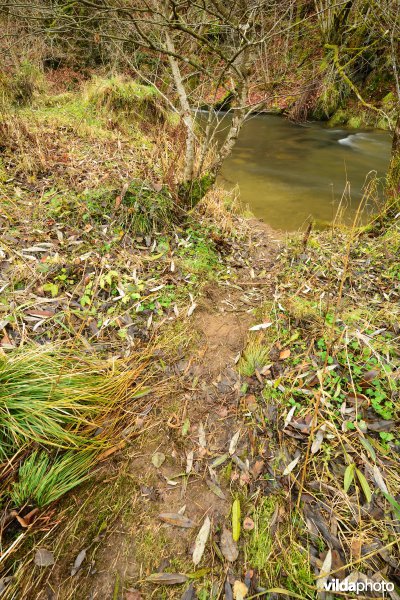 Vallei van de Ourthe