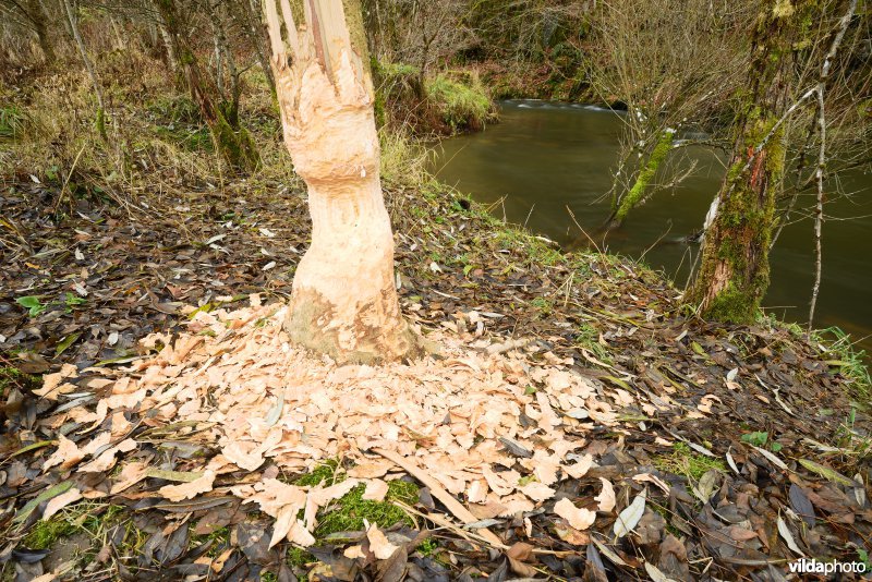 Vallei van de Ourthe