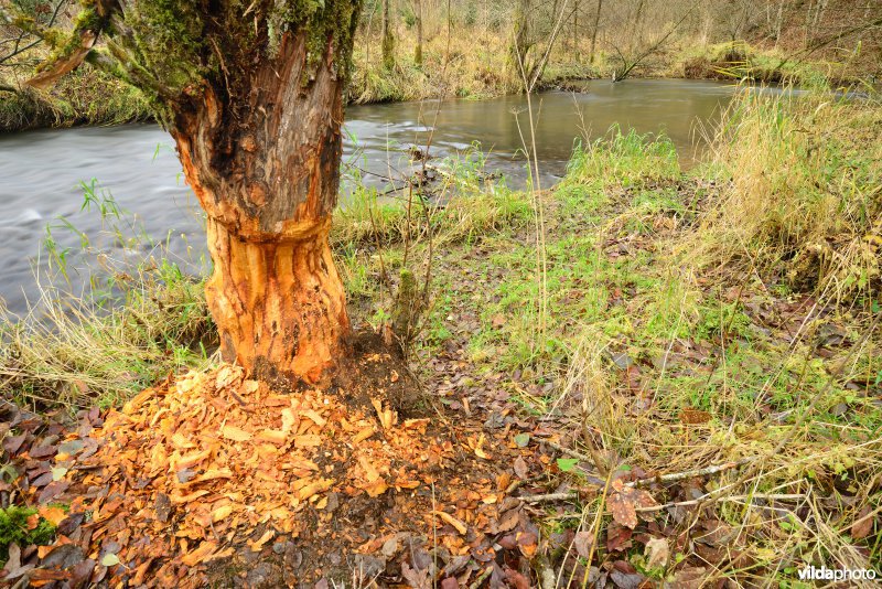 Vallei van de Ourthe