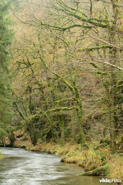 Vallei van de Ourthe