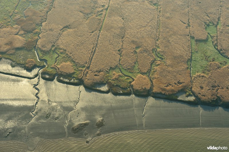 Paardenschor