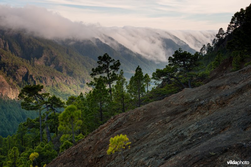 Caldera de Taburiente Nationaal Park