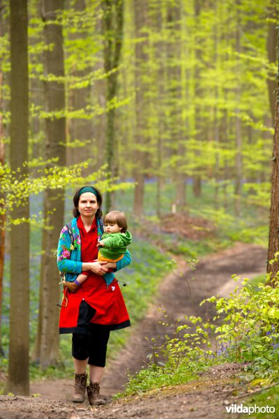 Wandelen in de lente