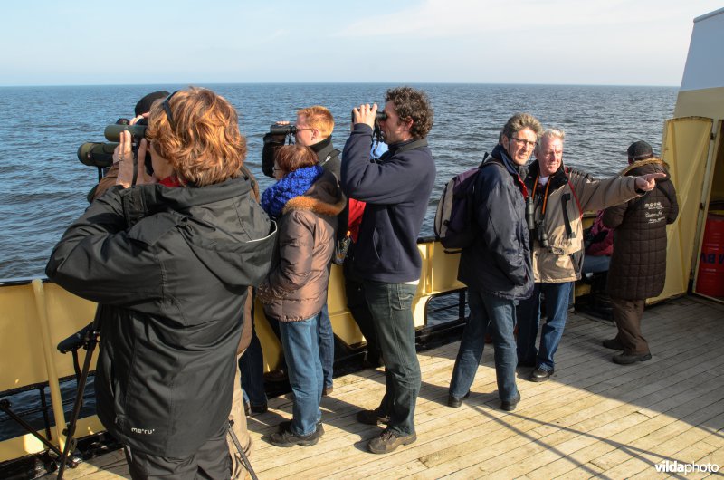 Vogelaars tellen vogels op het IJsselmeer.