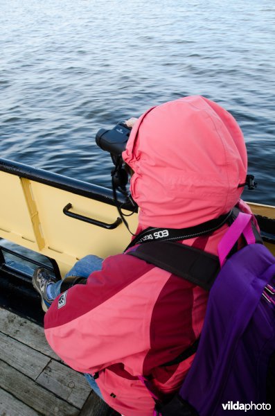 Vogelaars tellen vogels op het IJsselmeer.