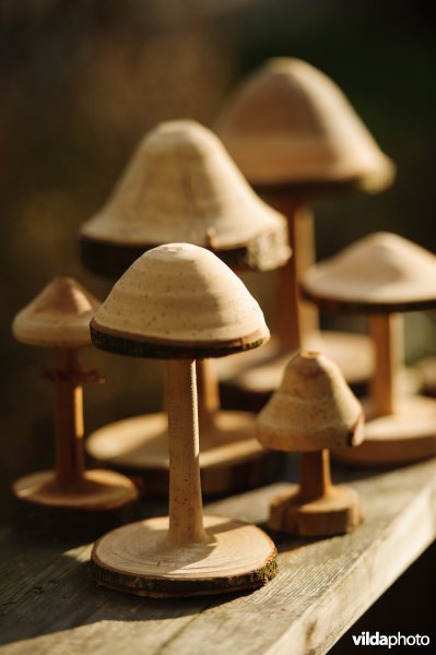 Houten paddestoelen