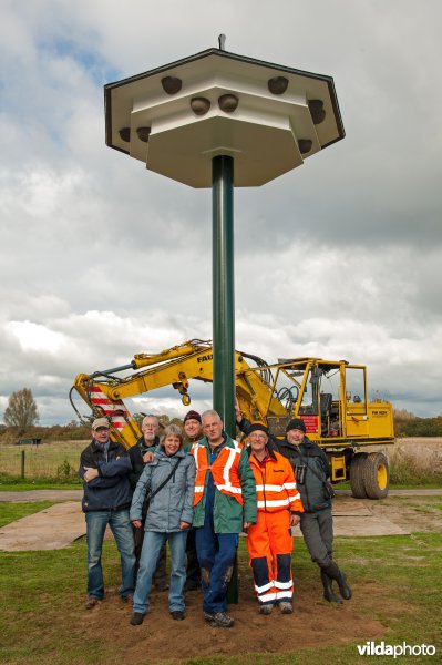Plaatsing van een huiszwaluwtil in Brummen
