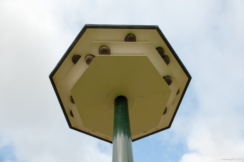 Plaatsing van een huiszwaluwtil in Brummen