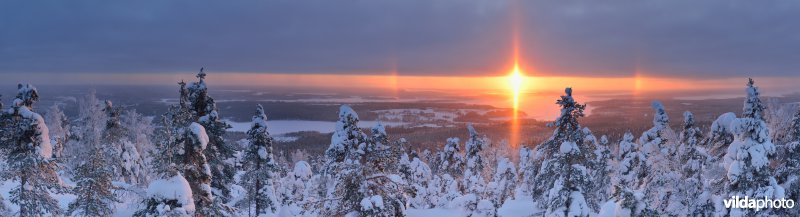 Arctische halo boven de Finse taïga