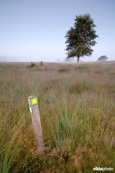 Wandelpaaltje op de hei